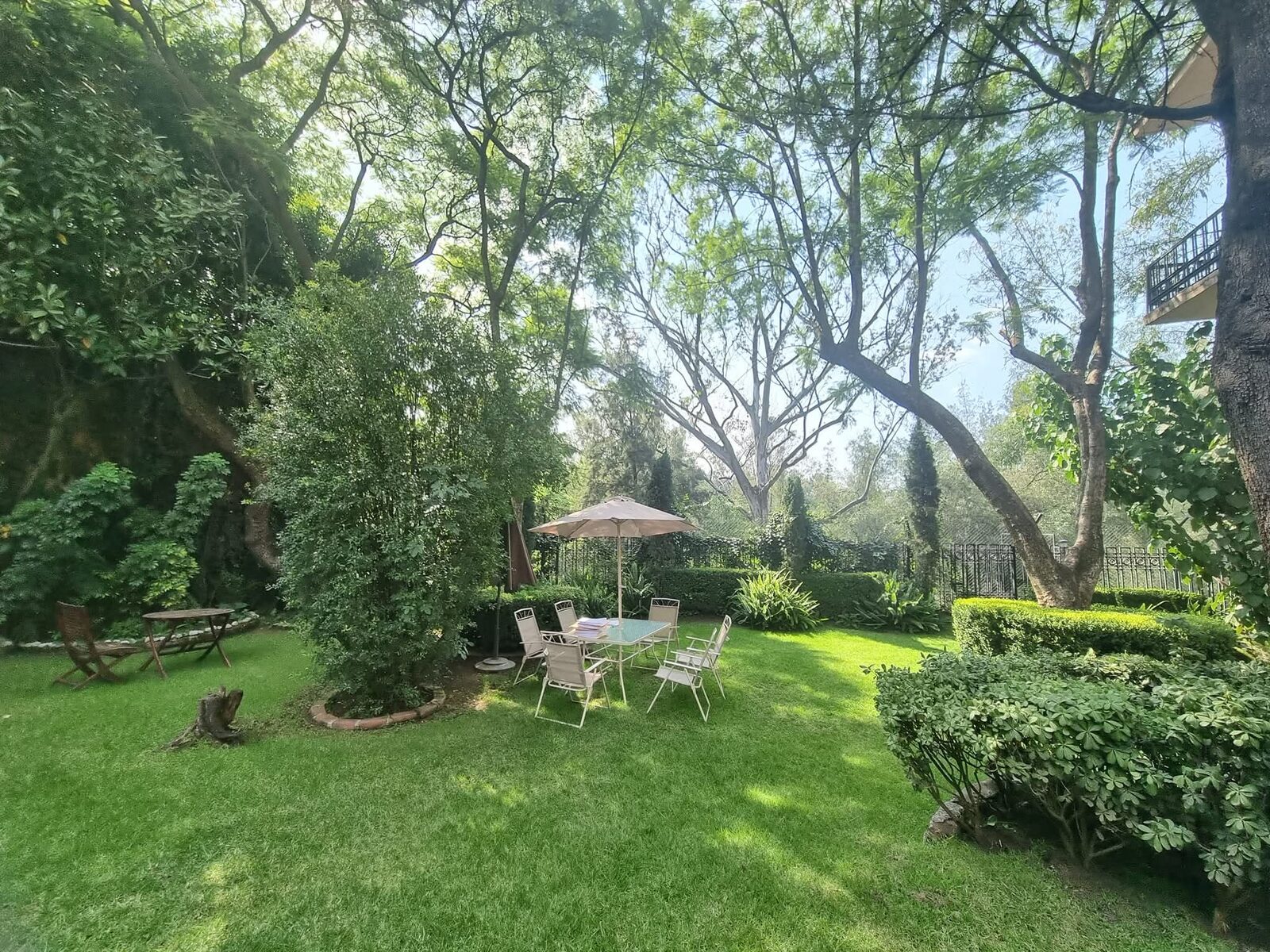 El jardín de nuestras oficinas: un ambiente de paz para mediar